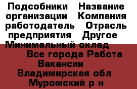 Подсобники › Название организации ­ Компания-работодатель › Отрасль предприятия ­ Другое › Минимальный оклад ­ 15 000 - Все города Работа » Вакансии   . Владимирская обл.,Муромский р-н